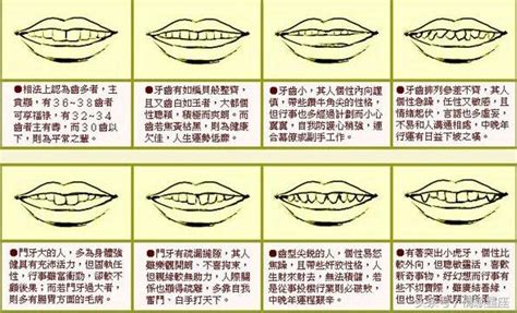 牙齒 面相|2024年你的牙齒面相代表什麼？倒及牙、哨牙⋯ 